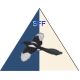 SFF_Esso's Avatar